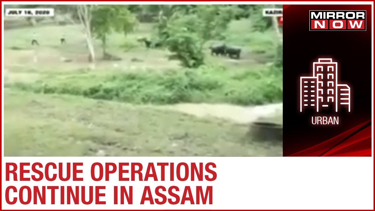 Assam Floods: 90% of Kaziranga National Park flooded, rescue operation underway