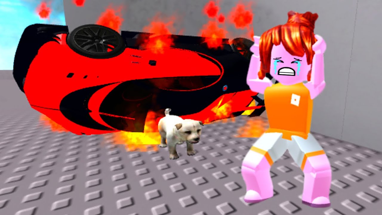 Roblox sad dog story…