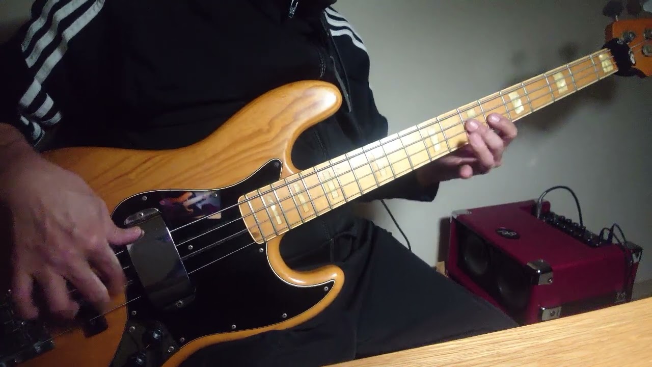 RAYE - WHERE IS MY HUSBAND! (Bass Cover)