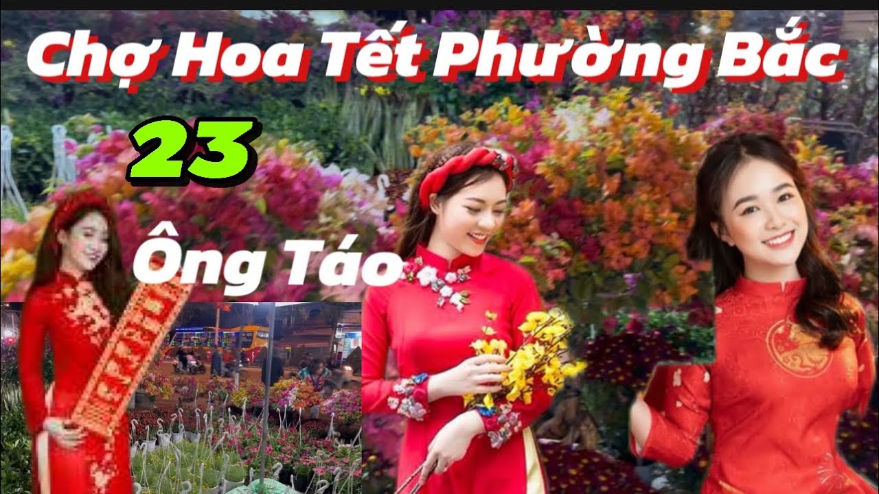Chợ Hoa Tết Phường Bắc Nha Trang Nhiều Hoa Nở Đẹp 