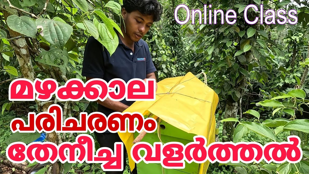 തേനീച്ച വളർത്തൽ പരിചരണം ഓൺലൈൻ ആയി പഠിക്കാം | Farming malayalam | Honeybee keeping #bhfyp