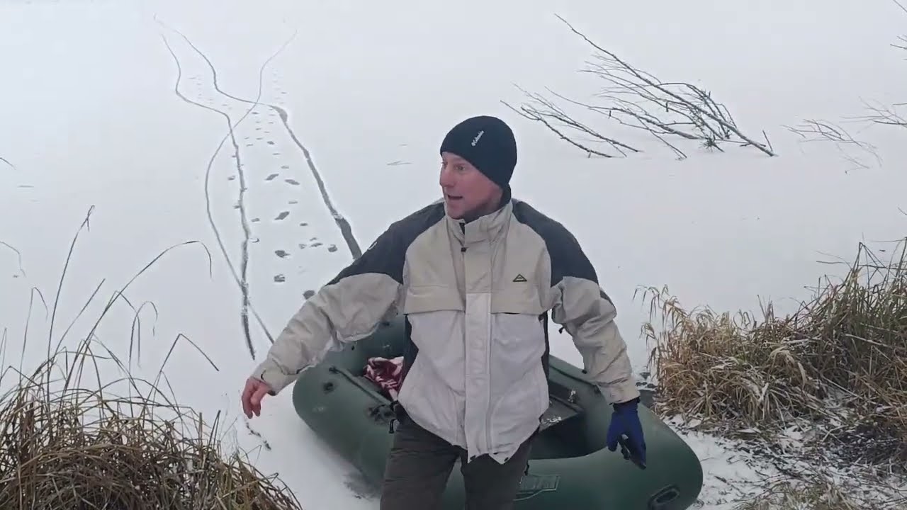 Рятуємо лебедя. Лебідь на льоду в сильний мороз