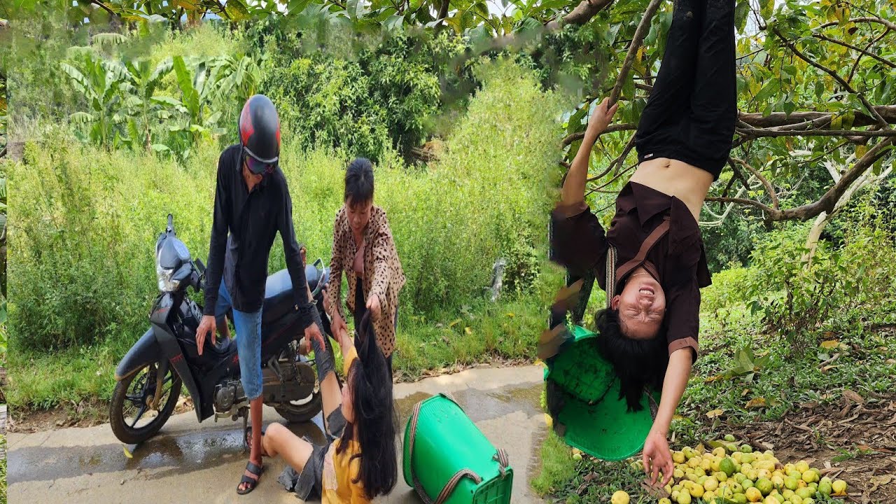 Full video 62days, being harmed by bad guys, building a gate, picking fruit, selling