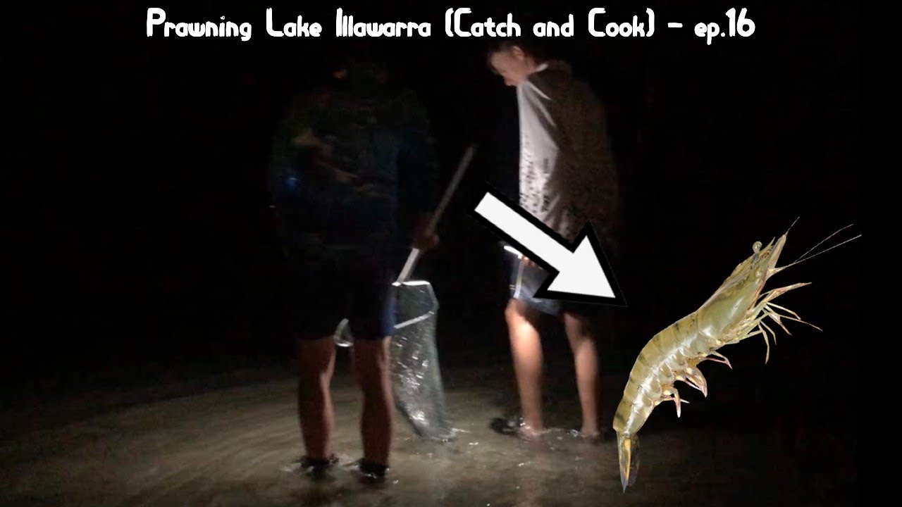 Prawning in lake illawarra (Catch and Cook) - ep.16