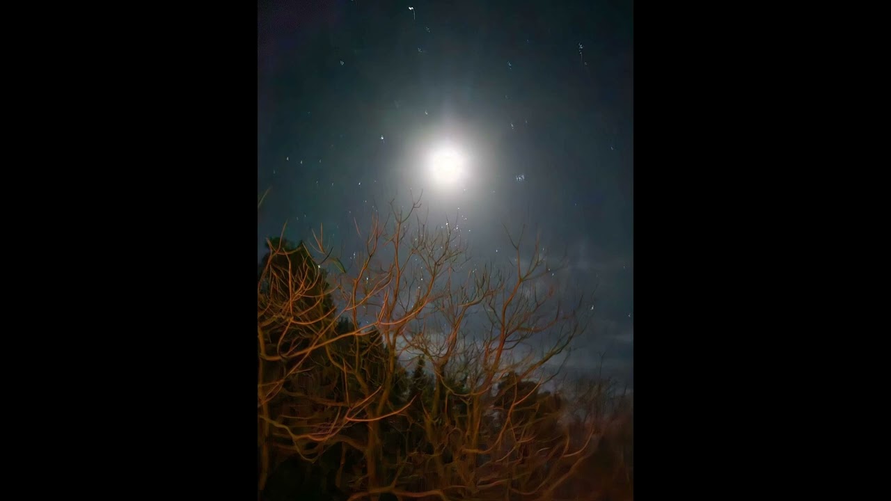 it’s a long walk back