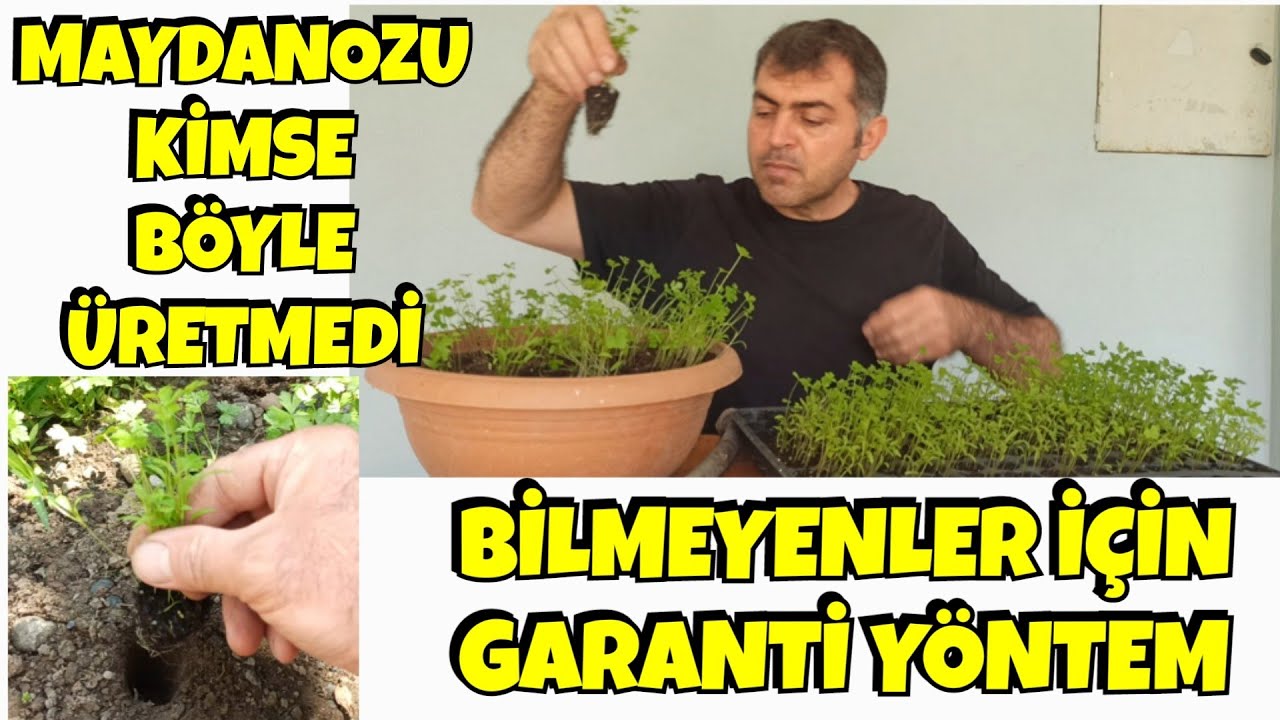 Maydanoz Bile Üretemiyorum Demeyin