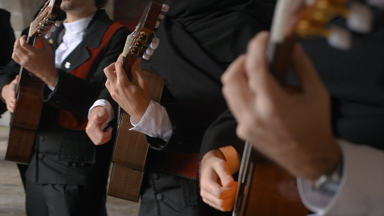 Afonsina | Pedido de Casamento 