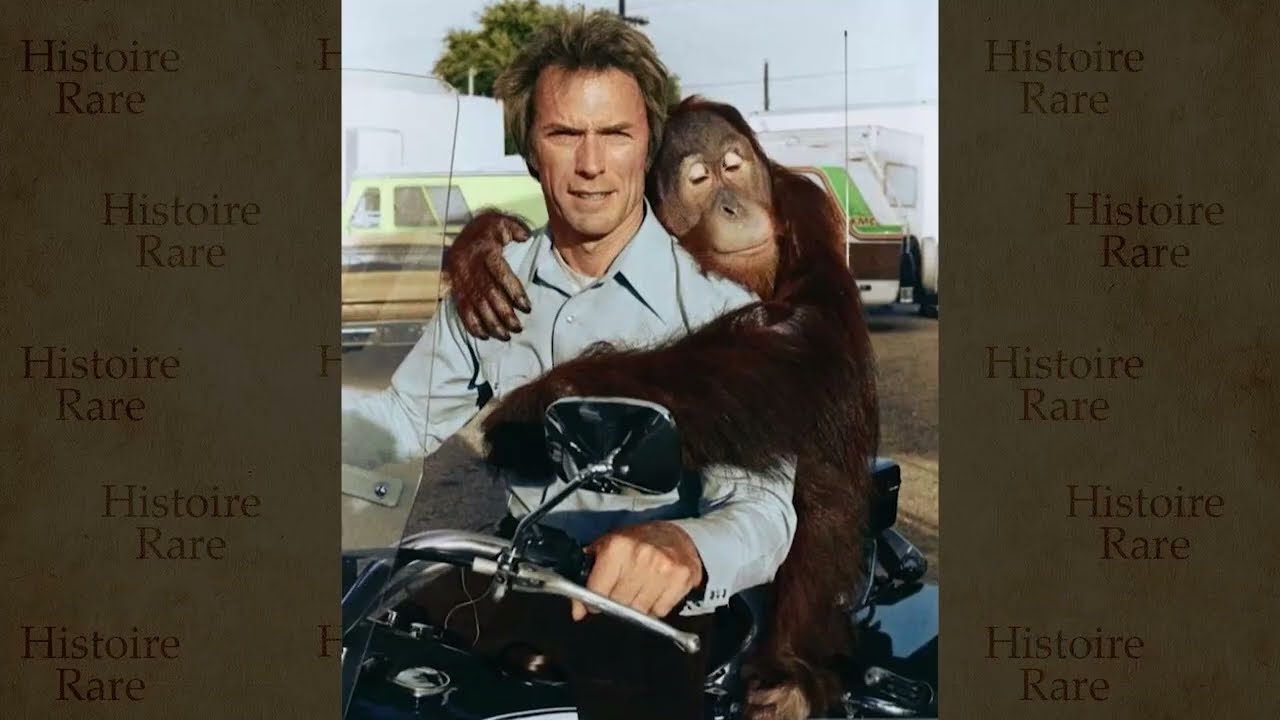Ils ne voulaient pas que vous voyiez ces 50 photos