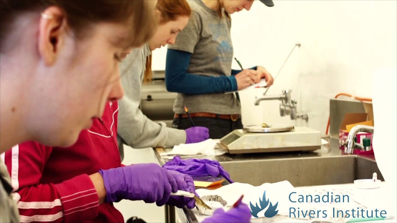 Canadian Rivers Institute (CRI)I Overview Video