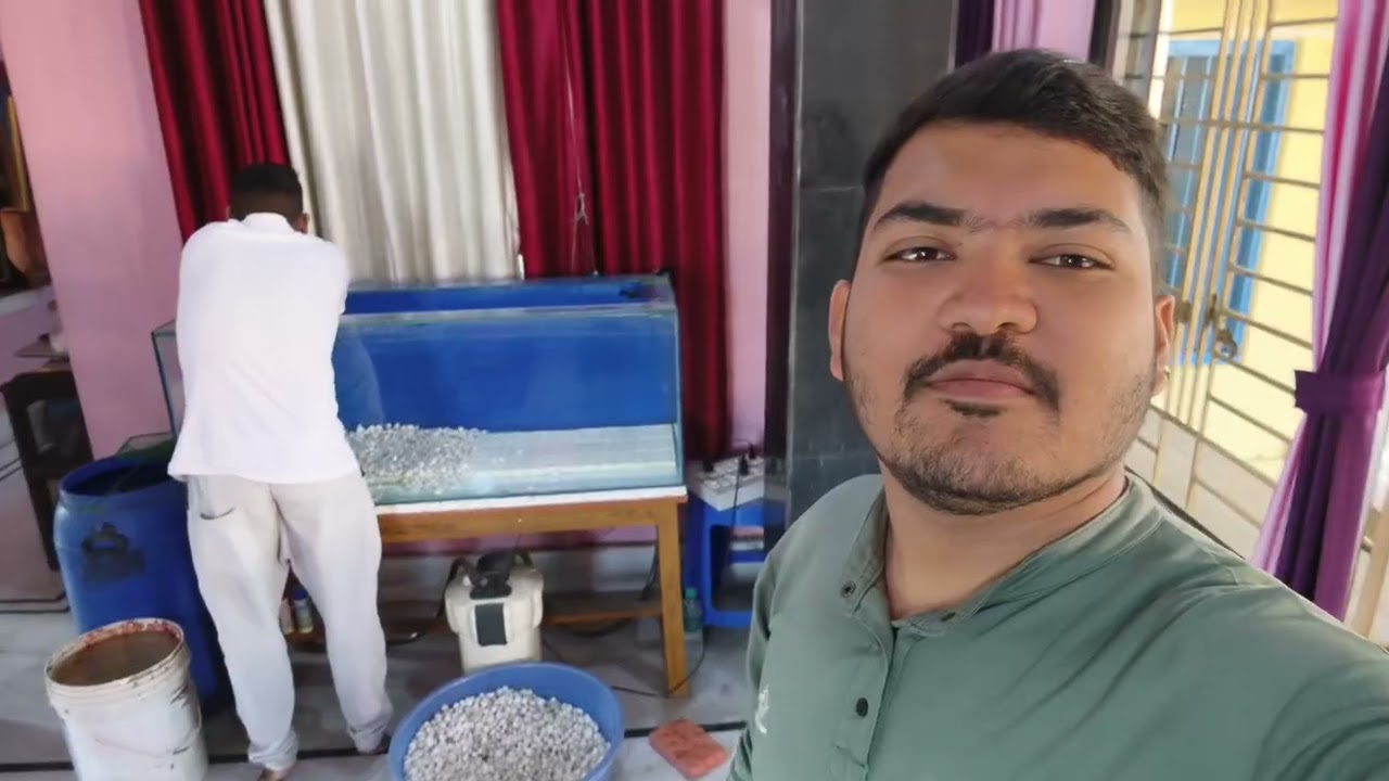 অ্যাকোরিয়াম এর মাছ মরছে আর মরবে না।সঠিক নিয়মে অ্যাকোরিয়াম পরিষ্কার করূন।
