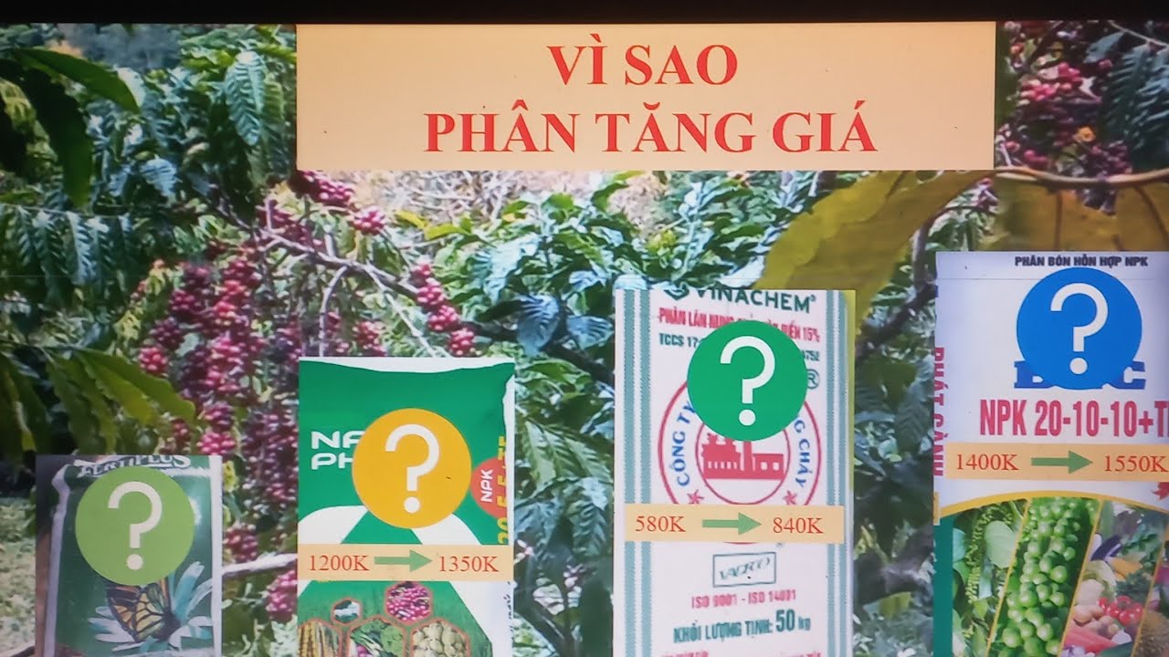 Vì sao phân bón tăng giá
