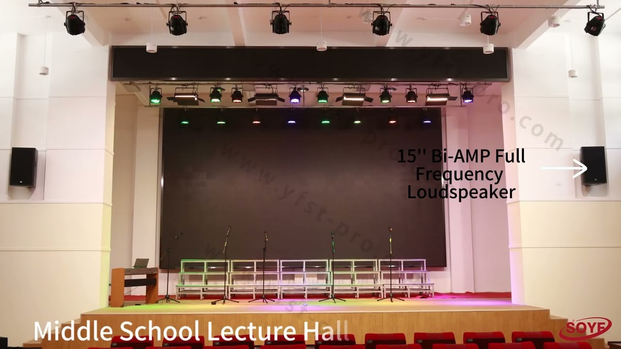 15'' Bi-AMP Full Frequency Loudspeaker#loudspeakers #schools