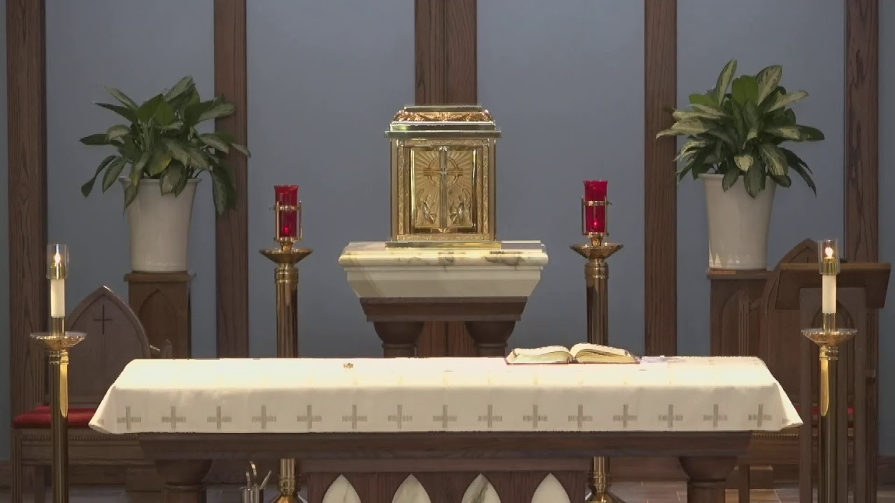 Notre Dame Catholic Church Live Stream