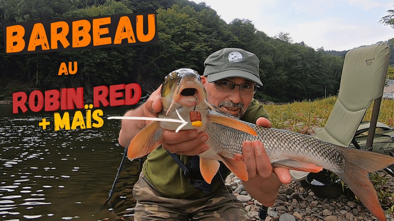 Pellet Robin Red & Faux Maïs coulant, un duo gagnant !