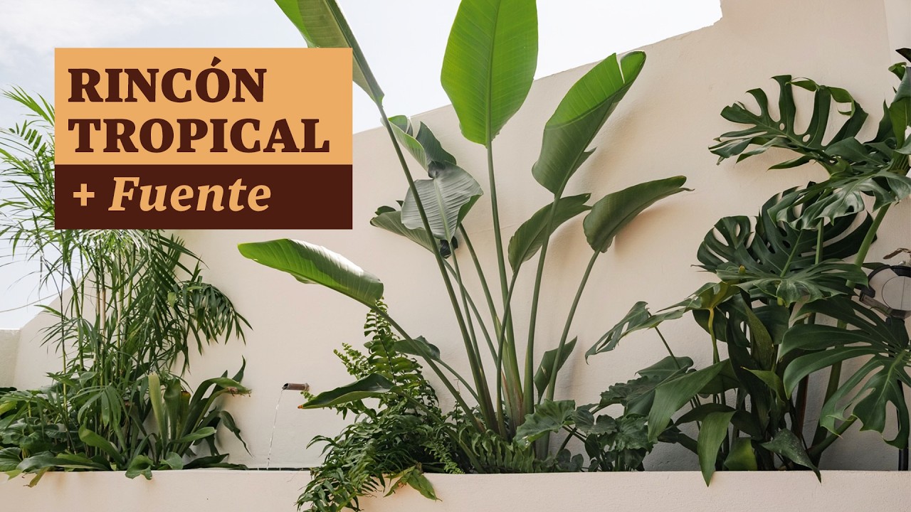 Diseñé una terraza para desconectar: Tropical y Mediterránea