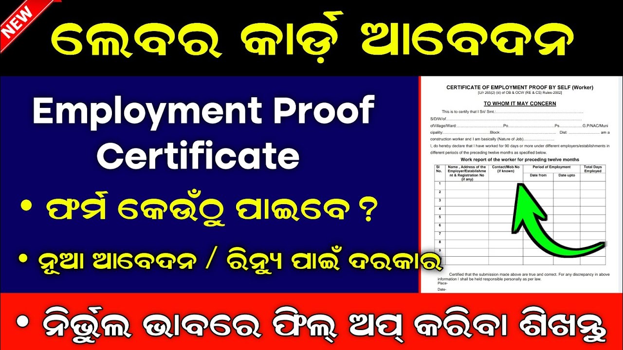 How To Fillup Labour Card Employement Certificate Form // Labour Card Self Worker Form Download