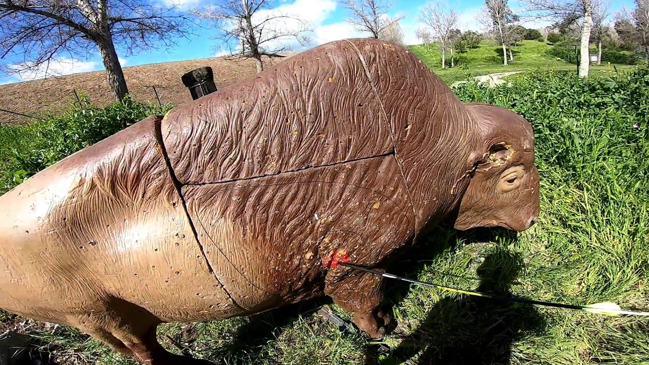3D ARCHERY SHOOT WITH CHUCK ADAMS! (Oranco Bowmen)