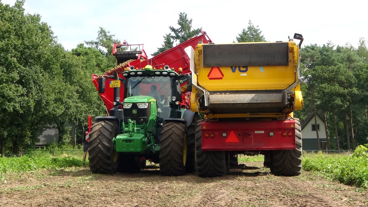 John Deere 6250R + GRIMME EVO 280 - Aardappeloogst met bunkerrooier / Potato harvest | Wielink