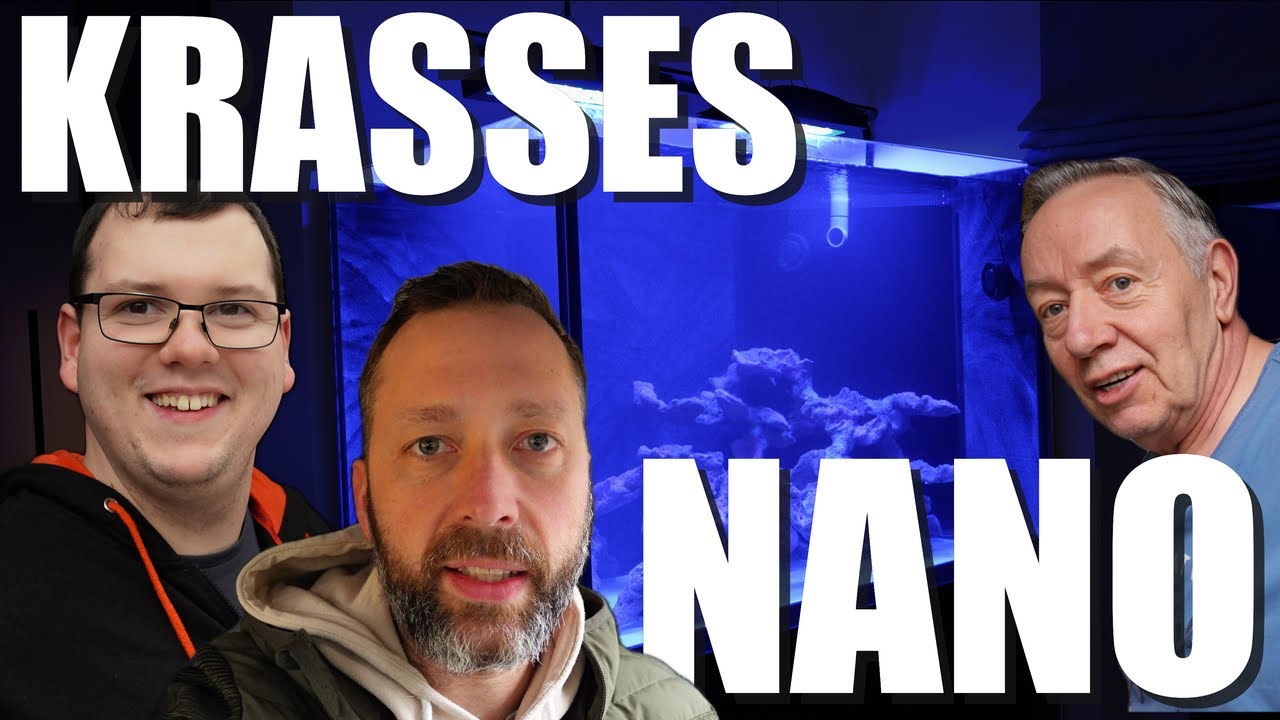 500L Nano Aquarium! AUFBAU und EINRICHTUNG!