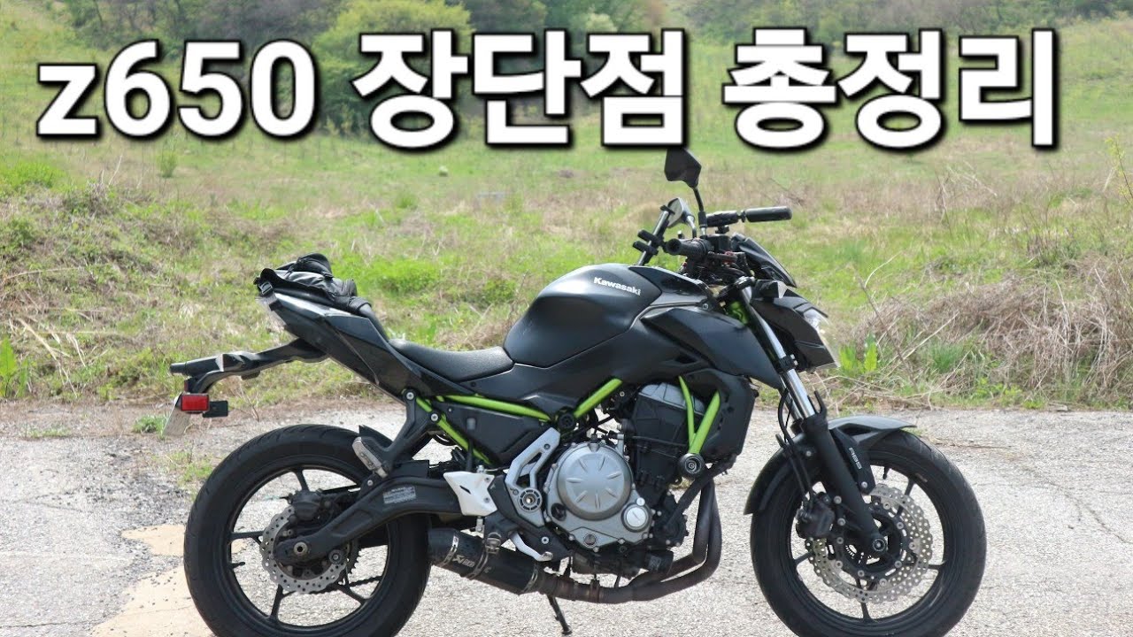 미들급 가성비 z650 리뷰