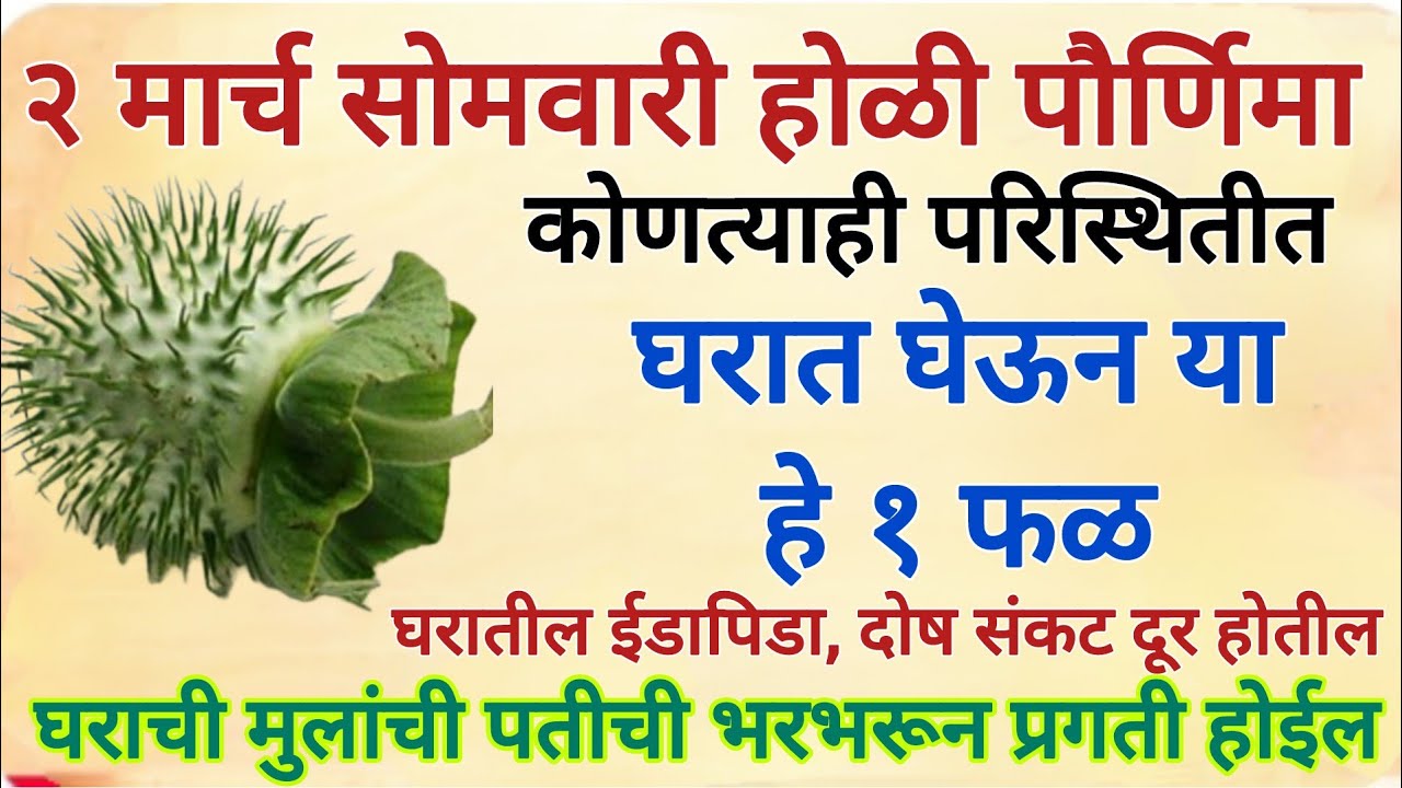 होळीच्या दिवशी घरात आणा हे १ फळ , सात पिढ्यांचे दारिद्र्य नष्ट होईल, घरात समृद्धी येईल#marathi 