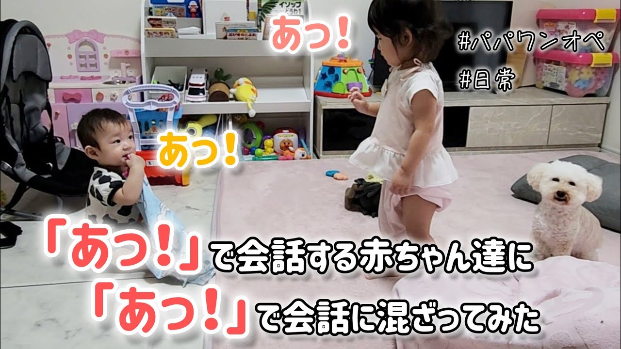 ｢あっ！｣で会話する赤ちゃん達に、｢あっ！｣で会話に混ざってみたら反応が想像以上だった【日常】