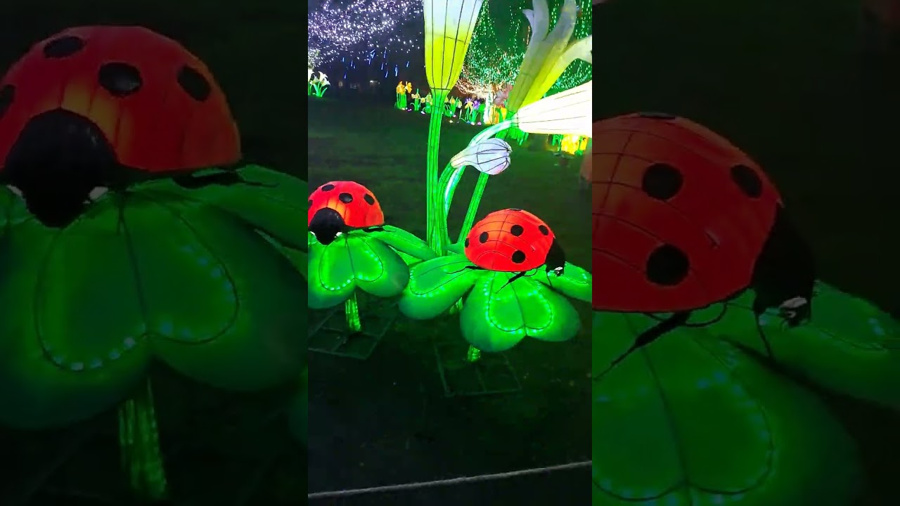 Dublin Zoo Wild Lights 2023