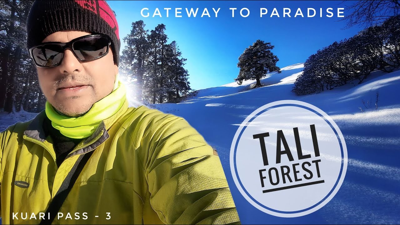 how we reached gateway to heaven on our trek to kuari pass | tali forest trail camp in uttarakhand
