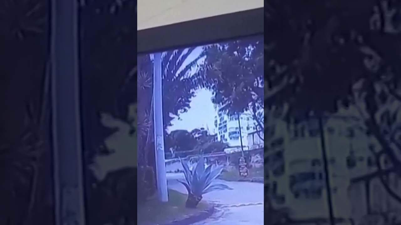 New footage captures deadly Oliver Tree helicopter crash