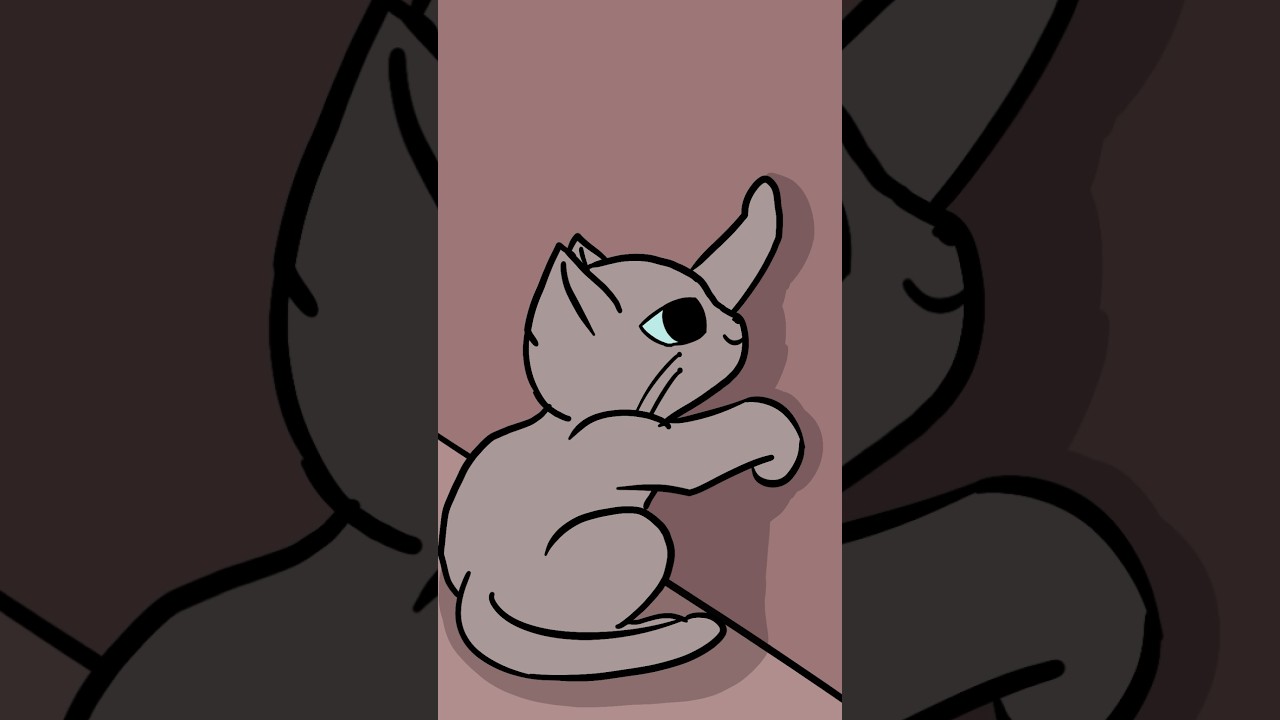 Cat scratches #animation #cat #drawing