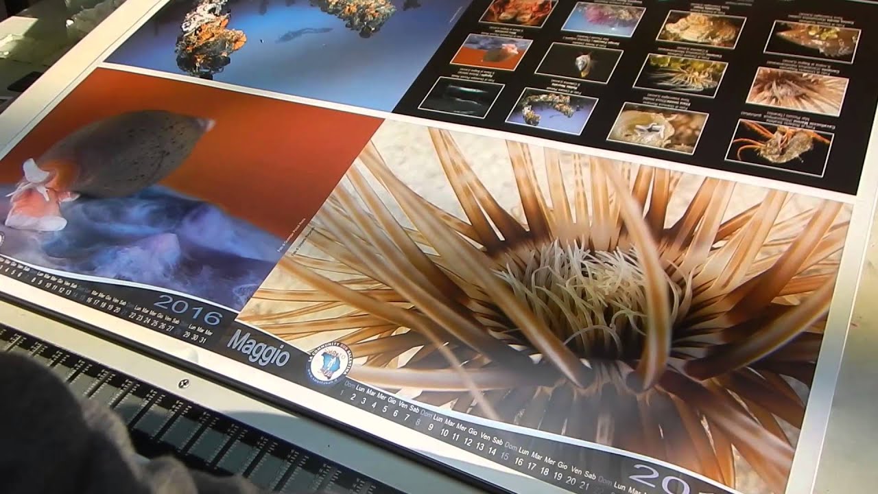 Calendario SalentoSub 2016