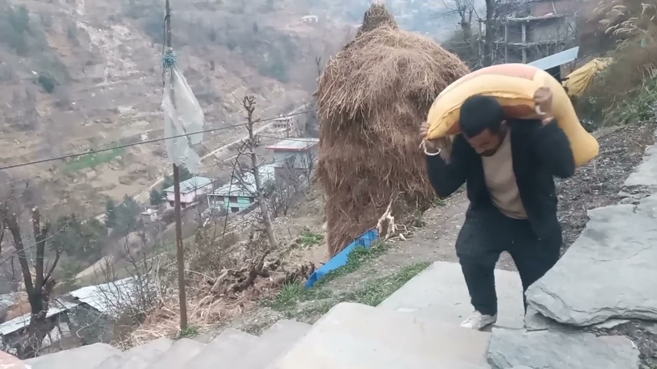 आज गई फिर से गाय दूने 🐄