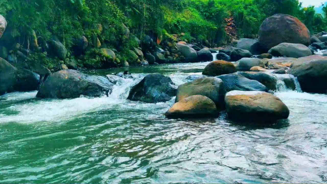 Tranquil Forest River - White Noise Nature Sounds for Deep Sleep and Inner Calm