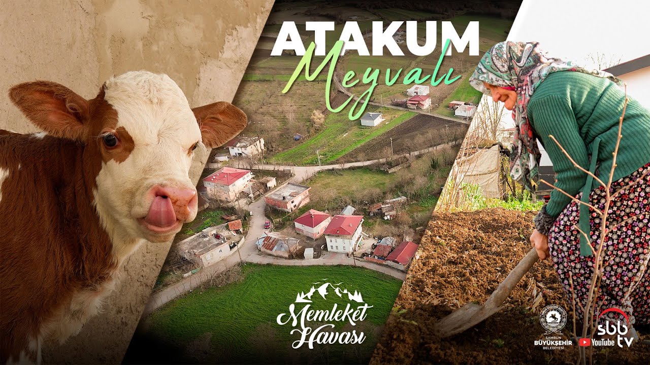 Atakum Meyvalı Mahallesi  |  Memleket Havası