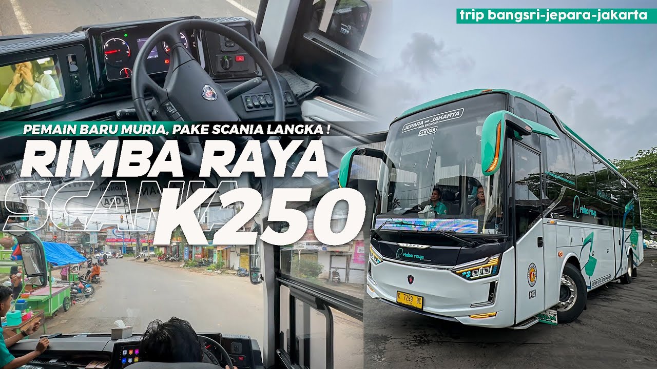 [ SCANIA PALING LANGKA, CUMA ADA DI JEPARA ! ] SPESIAL AKAP SCANIA K250 RIMBA RAYA FABULOUS CLASS 1