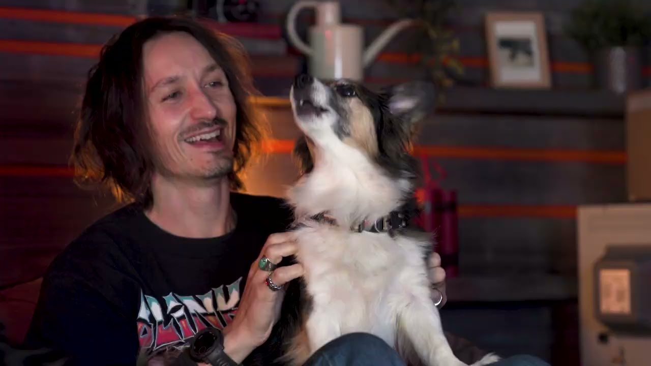 Rover's Tale [PC] Gameplay Trailer