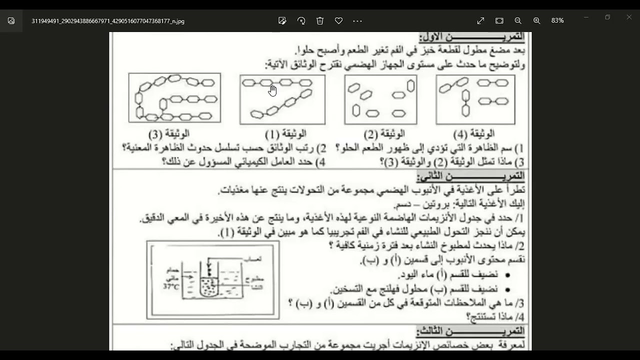 حصة تمارين حول الهضم سنة رابعة متوسط