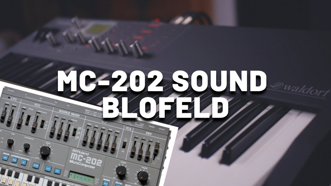 Roland MC-202 Sound with Waldorf Blofeld (No Talking) | Classic Analog Synth Tones