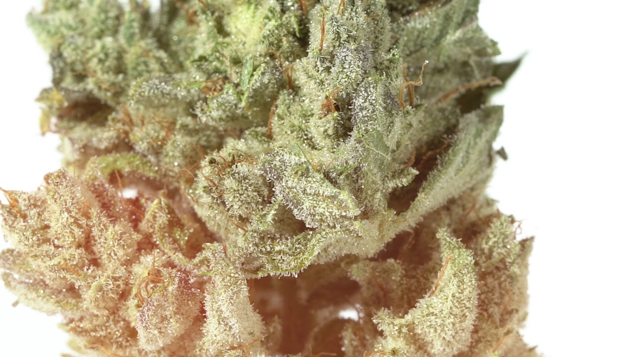 Defining Craft Cannabis | Support the #Microcannabis Movement!
