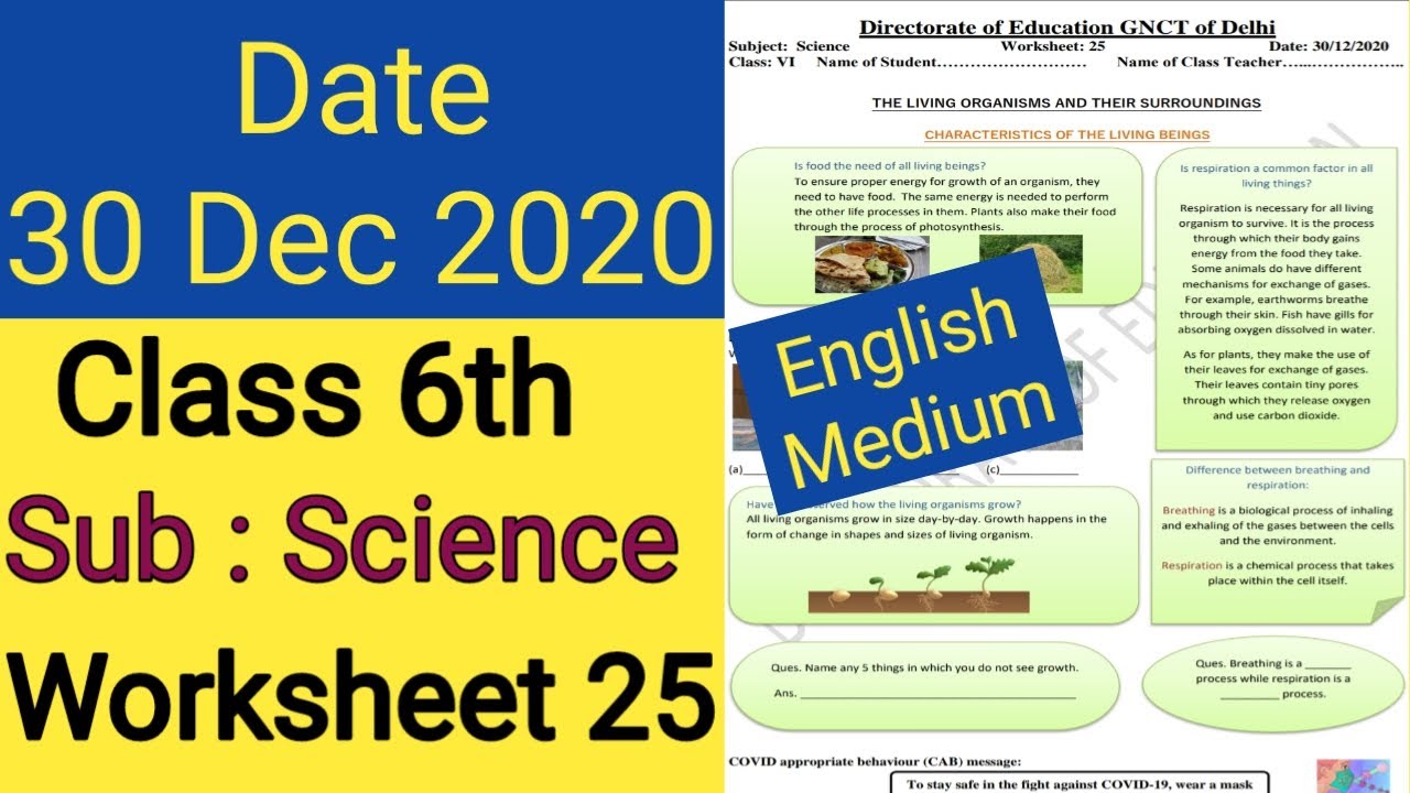 Worksheet 25 class 6 science(30 Dec 2020)english medium wednesday/Worksheet 25 class6 science/class6