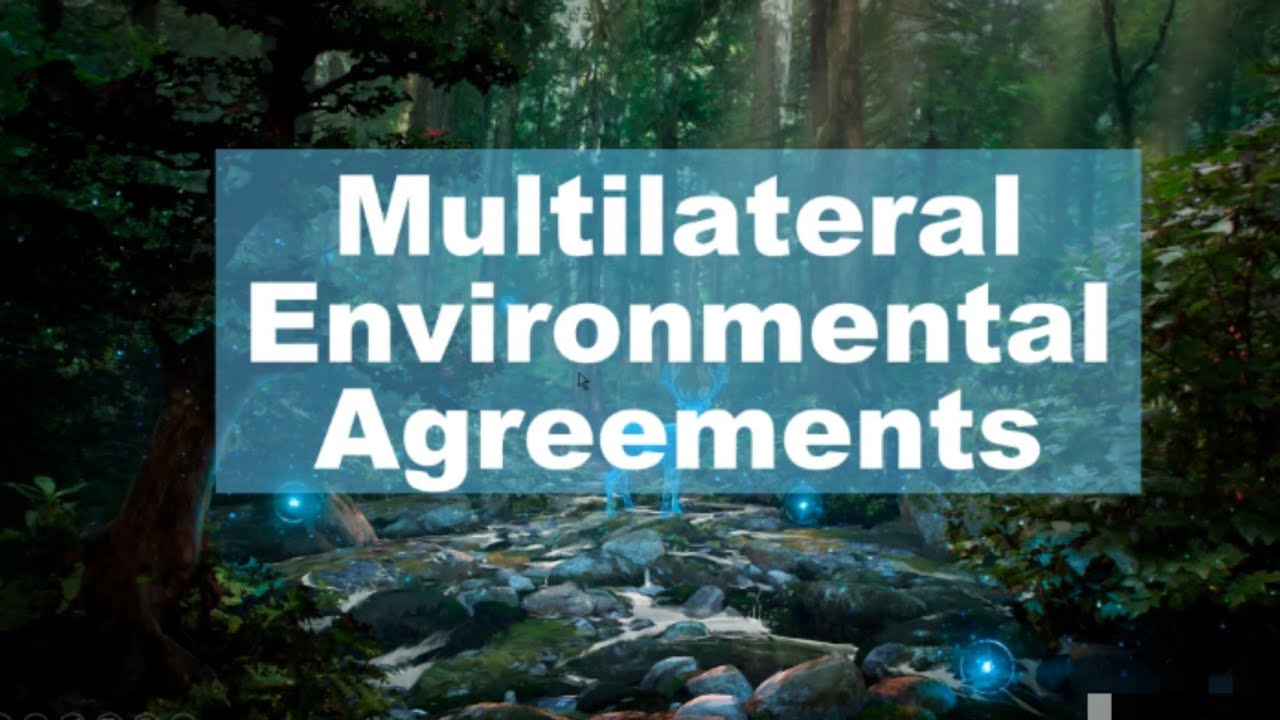 multilateral environmental agreement