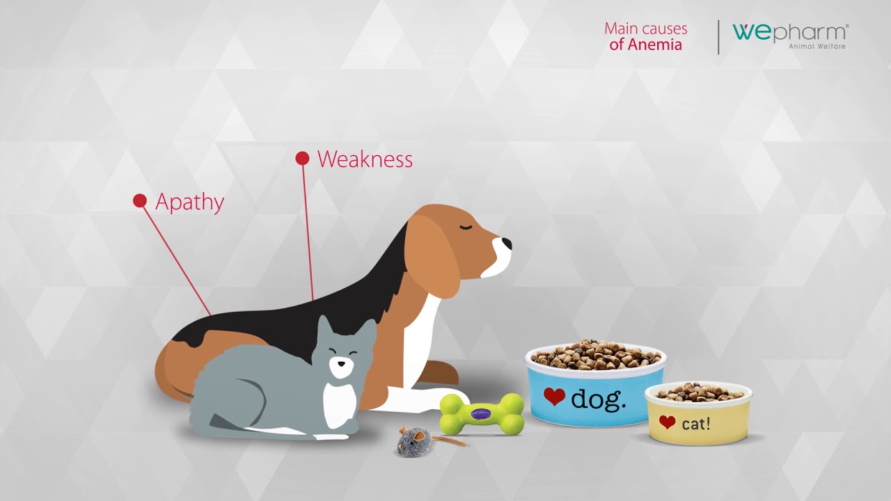 Wepharm | WeHemo