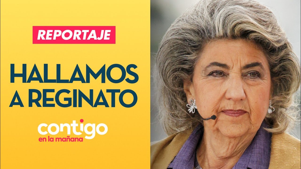 REPORTAJE | En búsqueda de Reginato: Las irregularidades en Viña del Mar | Contigo en la Mañana