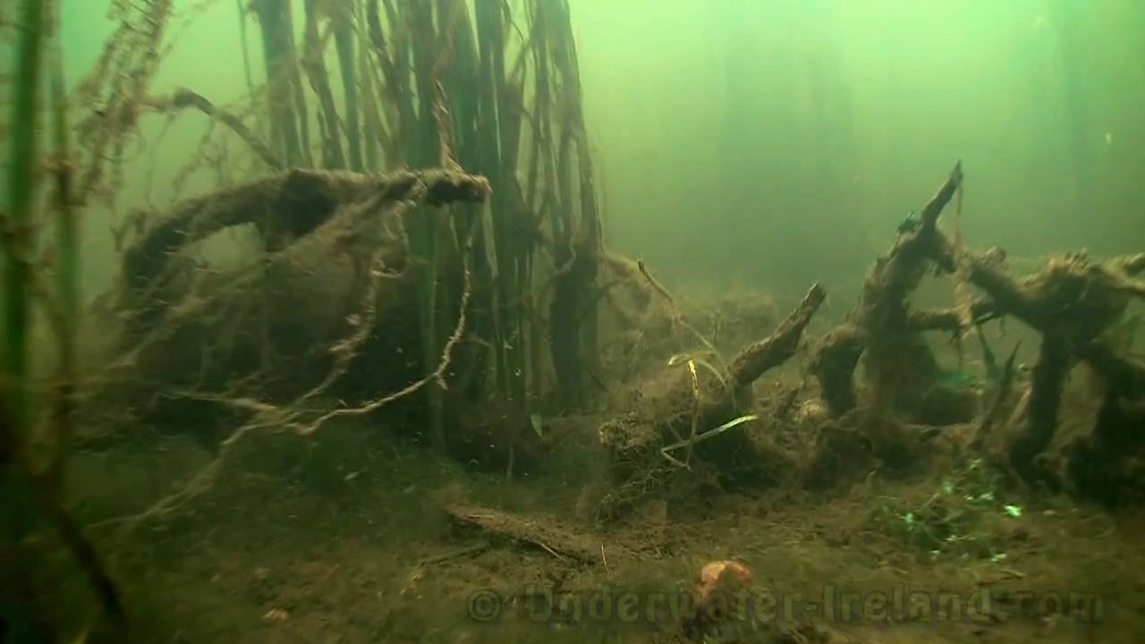 Never seen before: on the bottom of river Liffey, Ireland. Filming underwater.