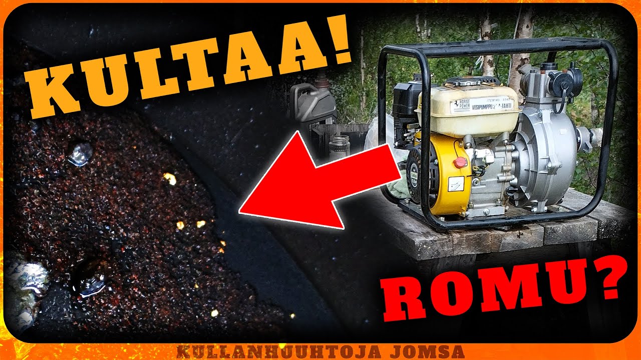 Konevika Johtaa Kulta-aarteen jäljille