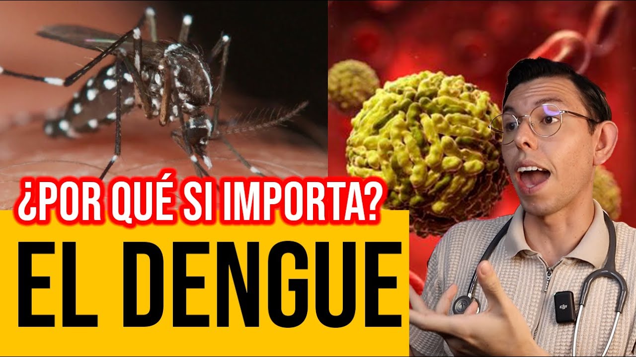 TODO lo que debes saber sobre EL DENGUE (Nuevo miedo a los mosquitos)|DrPoloGuerrero