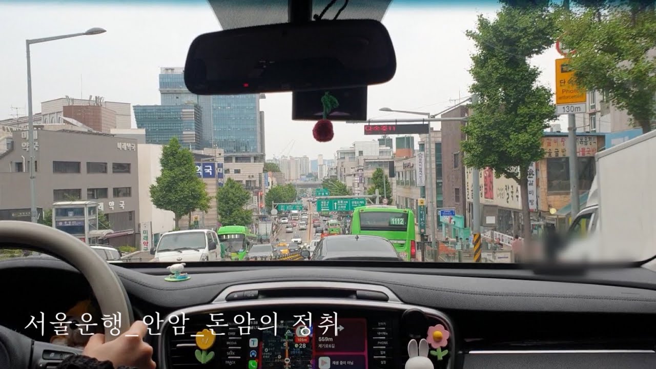 차기사👔 #3돈암동과 안암동 그 사이의 정취 서울 방방곡곡 모셔다드리는 길🚘drive vlog12