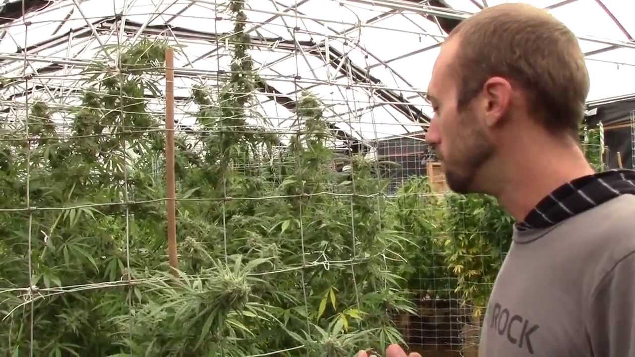 Flo OG Fridays with David [episode 1]