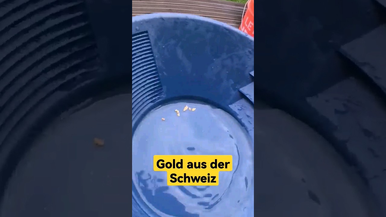 Nice ❤️😁 Goldflitter aus der Schweiz von den Bergen #goldwaschen #shorts #goldpanning