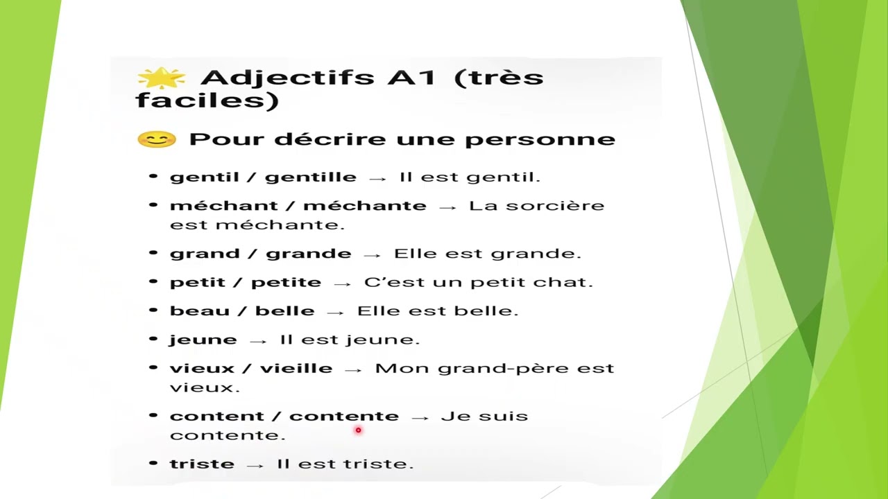 Adjectifs pour débutants @learnfrenchwithseema